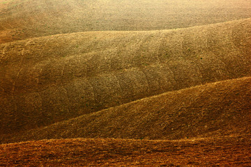 Wall Mural - Wavy brown hillocks, sow field, agriculture landscape, Tuscany, nature carpet, Italy