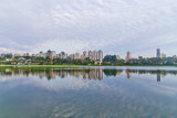 Fototapeta Nowy Jork - Birigui Park at Curitiba, Parana, Brazil.