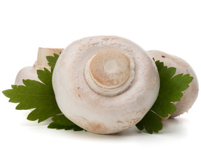 champignon and parsley herb still life isolated on white backgro