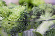 Broccoli in heissem Wasser