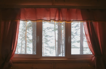  view of winter forest from house window