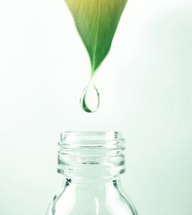 water drop from leaf to the bottle
