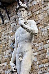 Wall Mural - The most famous statue of Florence, David of Michelangelo, Italy.