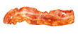 Cooked bacon strip close-up isolated on a white background.