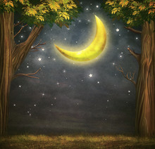 Illustration Of A Forest And Fantastic Moon With  Stars   At Night Sky 