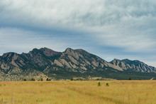 Flat Irons With Brown Grass