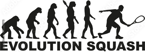  Fototapeta Squash   evolution-squash