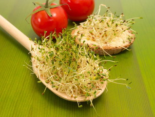 fresh alfalfa sprouts on a green board