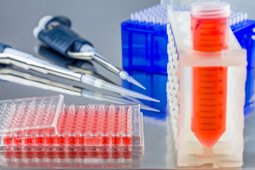 Wall Mural - Setting up samples inside a biosafety cabinet