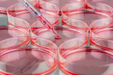 Sticker - Preparing cell culture in a biosafety cabinet.