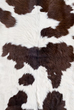 Cow Skin Texture