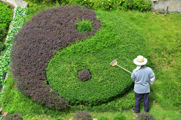 Gardener Decorate The Tao Shape Tree in the Garden of Sik Sik Yuen Wong Tai Sin Temple Hong Kong, China