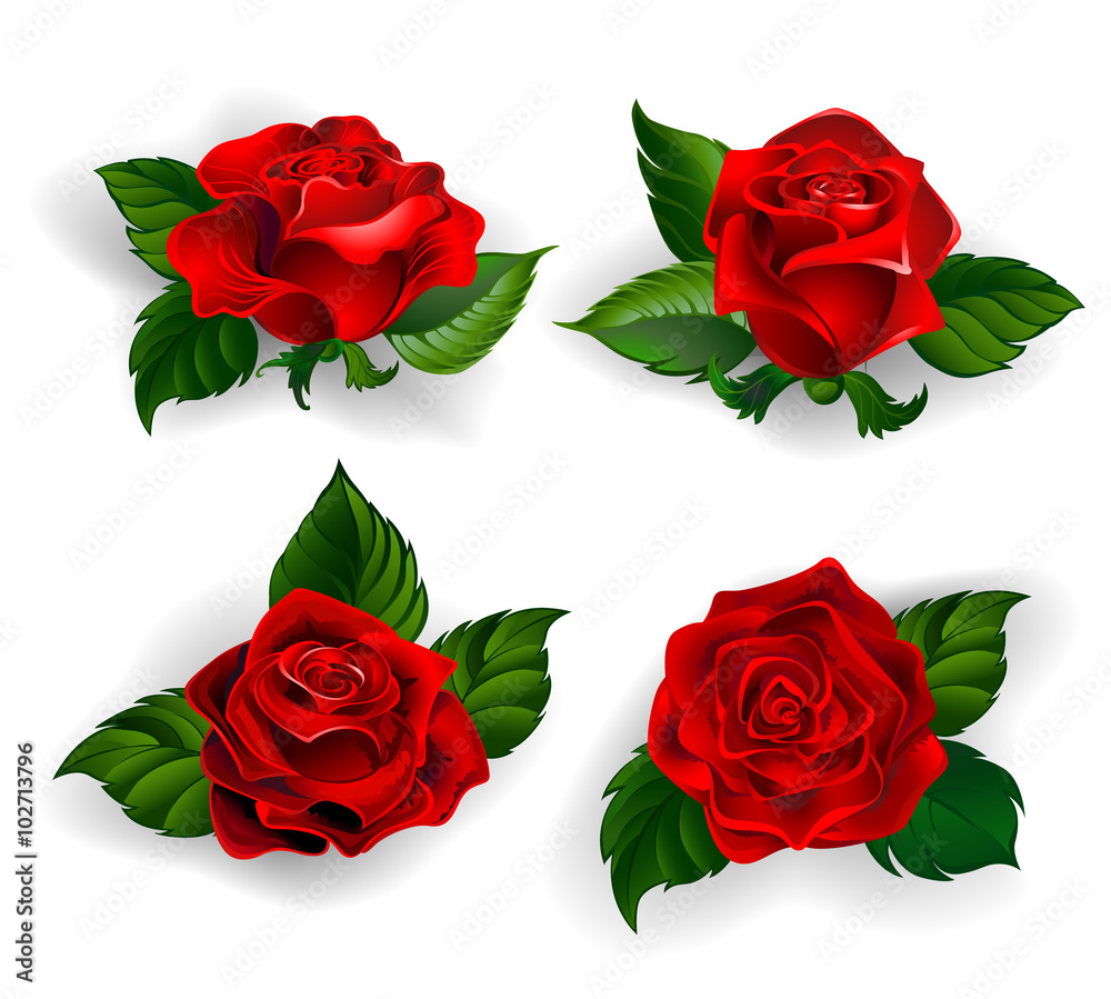Set of Red Roses - obrazy, fototapety, plakaty 