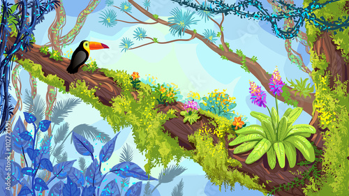 Jungle forest. Illustration of toucan sitting on the tree