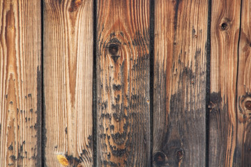 texture of old wood