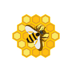 Poster - Honeycomb and bee flat icon