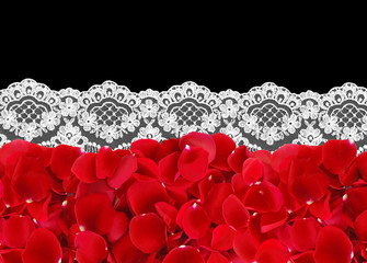 Wall Mural - beautiful red rose petals on lace on black background