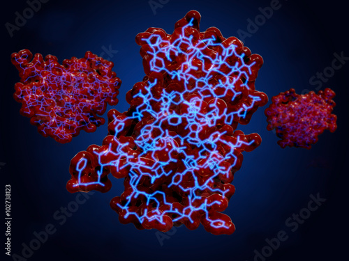 Fotografía Insulin Moleküle
Insulin is ein Proteinhorm, daß den Zucker und Fettstoffwechsel reguliert