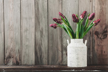 Vintage Tulips Flower Pot Free Stock Photo - Public Domain Pictures