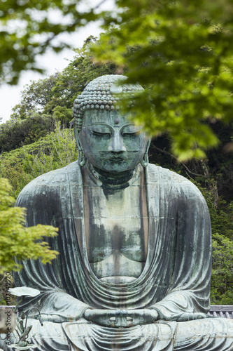 Fotomural El gran Buda (Daibutsu) en los terrenos del templo en Kotokuin
