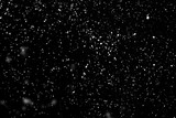 Fototapeta Do akwarium - Falling snow isolated on black background