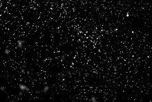 Falling Snow Isolated On Black Background