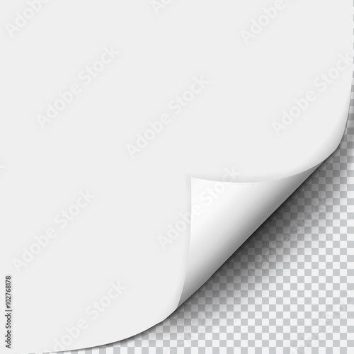 Fotografía Page curl with shadow on blank sheet of paper