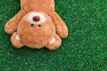 Wall Mural - cute teddy bear