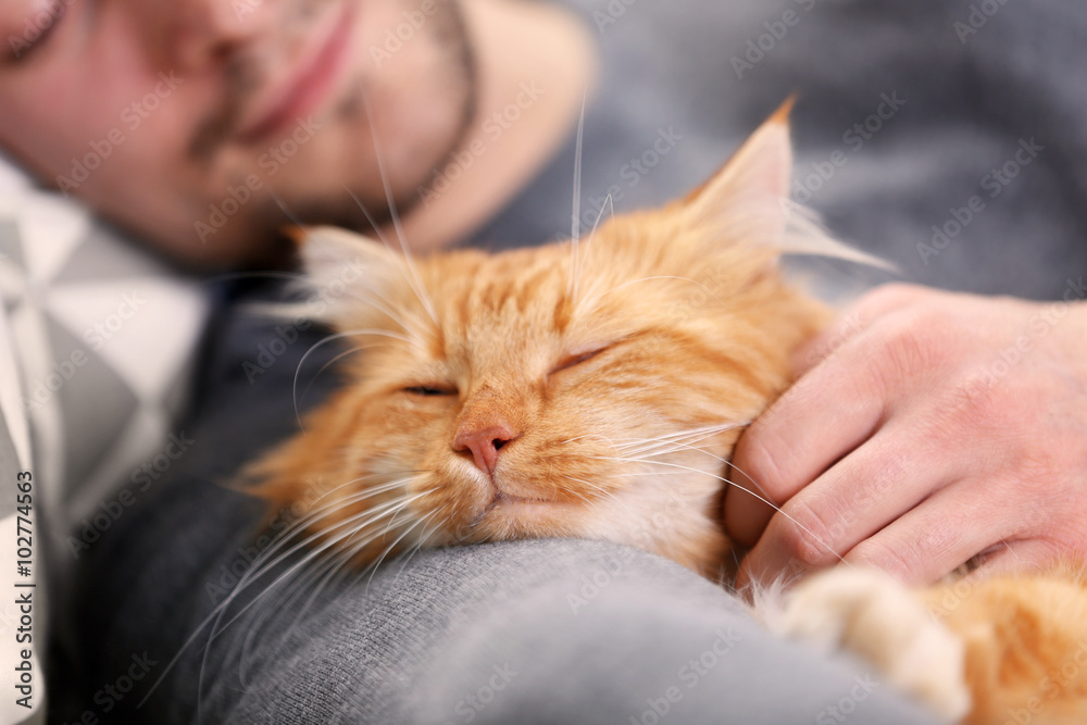 Sleeping young man with fluffy red cat