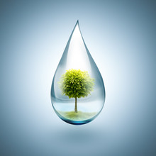 Drop Of Water With Tree Inside