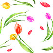 © helgafo - Pattern of tulips. Watercolor