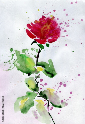Obraz w ramie watercolor red rose.