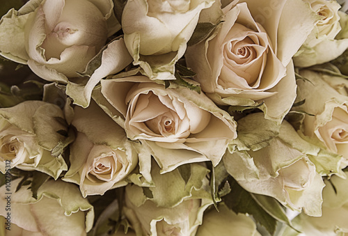 Naklejka - mata magnetyczna na lodówkę bouquet of roses close up