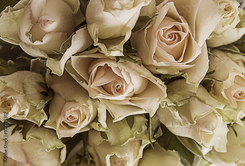 Naklejka nad blat kuchenny bouquet of roses close up