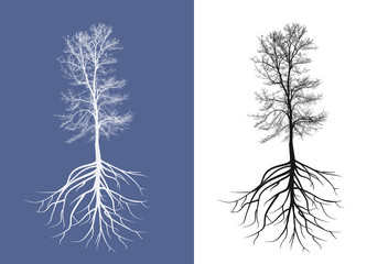 Silhouette tree without leaf