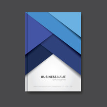 Professional Book Design / Modern Vector Brochure Background, Cover For Report, Corporate