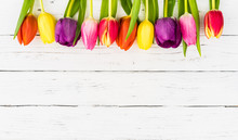 Glückwünsche Grußkarte Blumen Frühling Bunte Tulpen