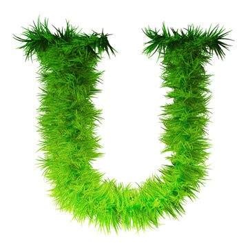 Conceptual green grass 3D font isoalted