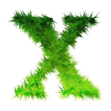 Concept or conceptual green grass, eco or ecology font, part of a set or collection isolated on white background