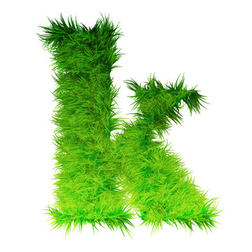 Concept or conceptual green grass, eco or ecology font, part of a set or collection isolated on white background