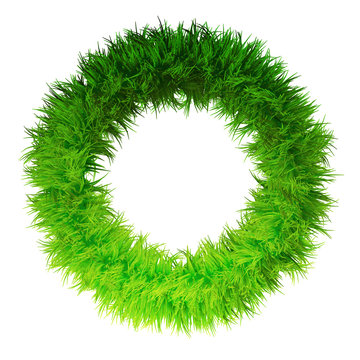 Concept or conceptual green grass, eco or ecology font, part of a set or collection isolated on white background