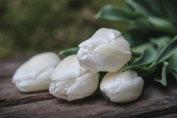 Bouquet of tulip flowers