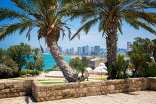 Tel-Aviv 