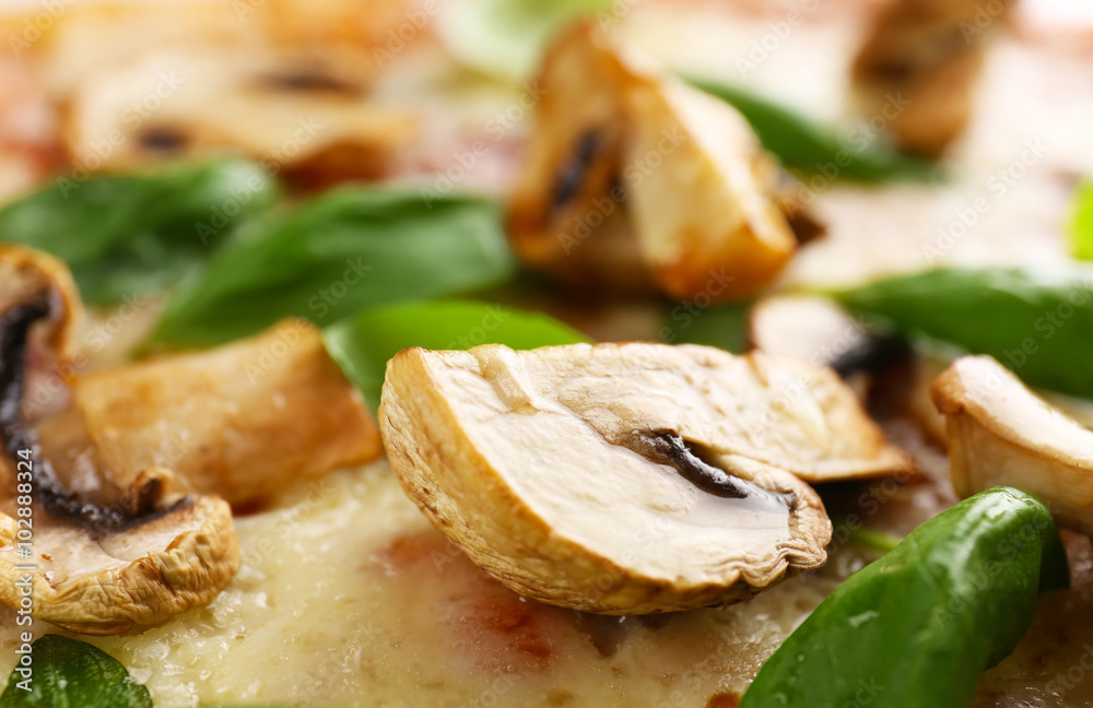 Delicious tasty pizza with basil and champignon, closeup