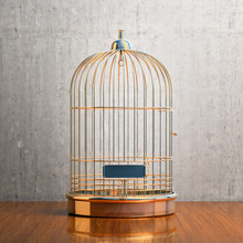 Empty Gilded Cage