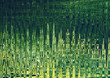 Abstract background in green colors, imitation polar lights. Horizontal.