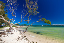 BRIBIE ISLAND, AUS - FEB 14 2016: Beach With Trees On The West S