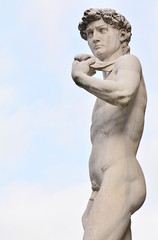 Wall Mural - The most famous statue in Florence, David of Michelangelo, Italy