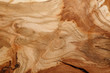 © nata_zhekova - Close up cross section of tree trunk.