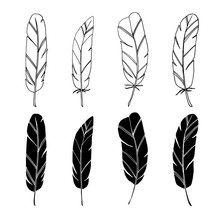 Set Of Hand Drawn Feathers, Isolated Black White Vector Objects